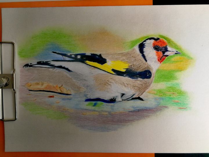 Pajarito
